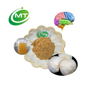 Organic Lion's Mane Mushroom Extract Powder
