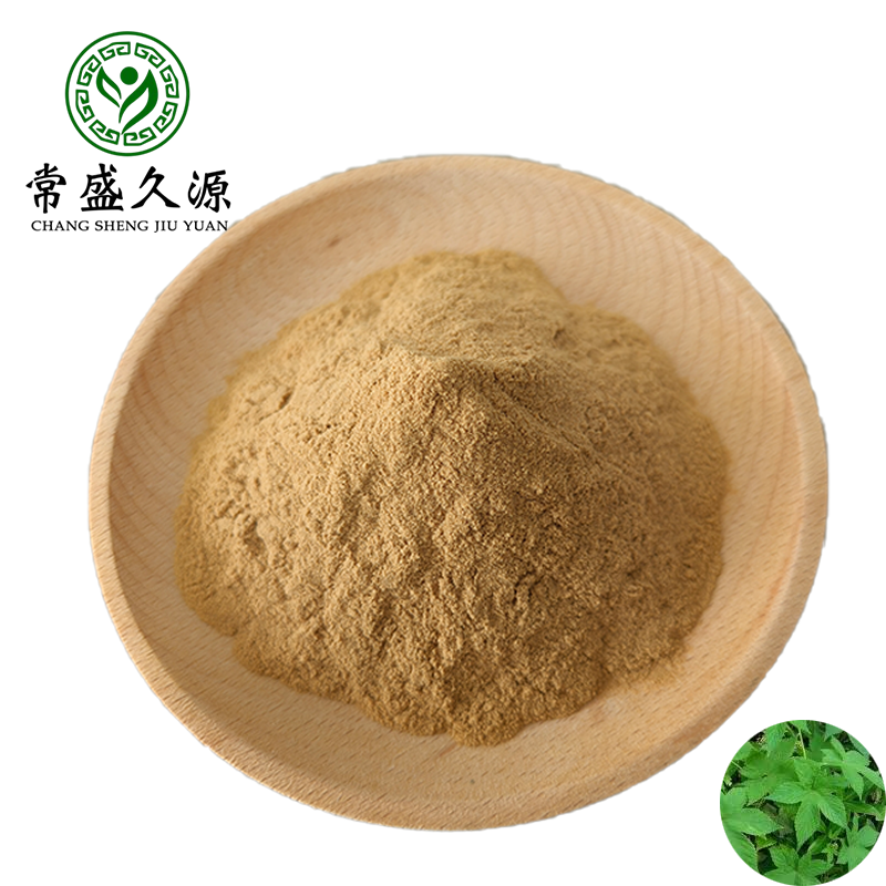 Water Soluble 100% Natural Ivy Leaf Extract Powder Food Grade Herbal Extract in Drum Packaging