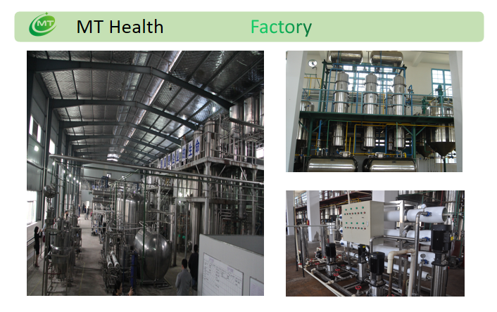Factory and Facility Overview