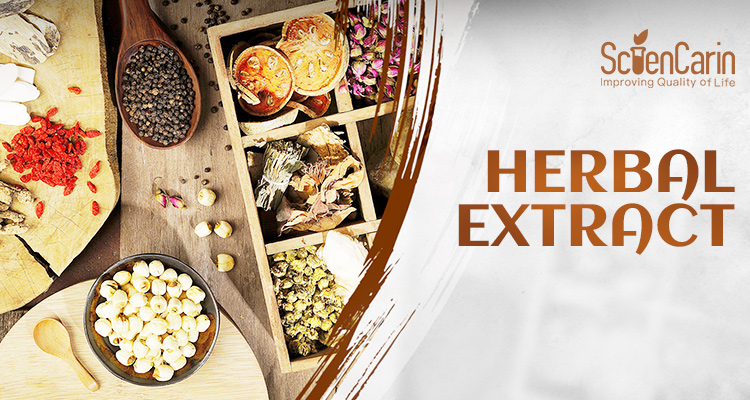 Lion's Mane Mushroom Extract Powder
