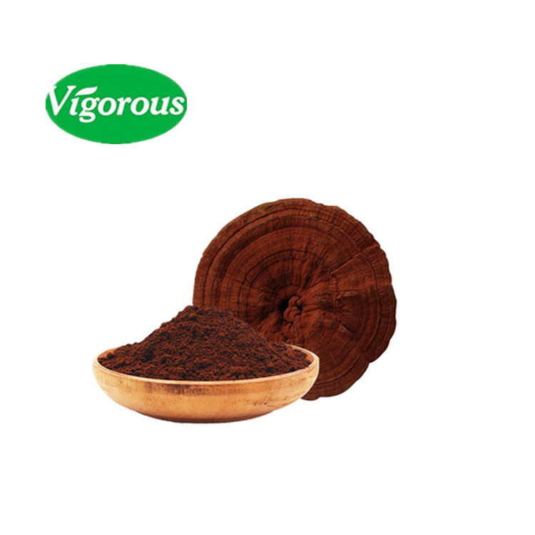 Pure Red Reishi Mushroom Broken Spore Extract Powder