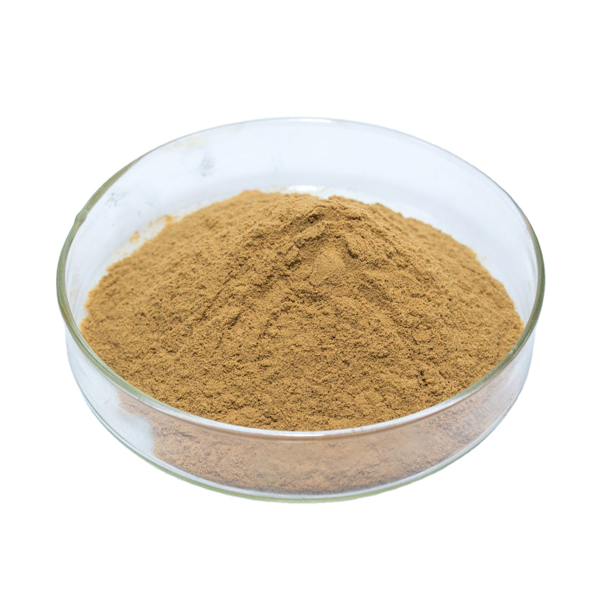 Botanical Extract Raw Materials