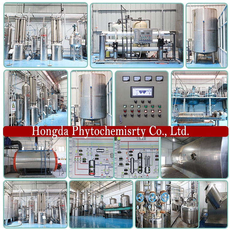 Mushroom Powder Organic Custom Packaging Lion's Mane Mushroom Extract Lion's Mane Powder