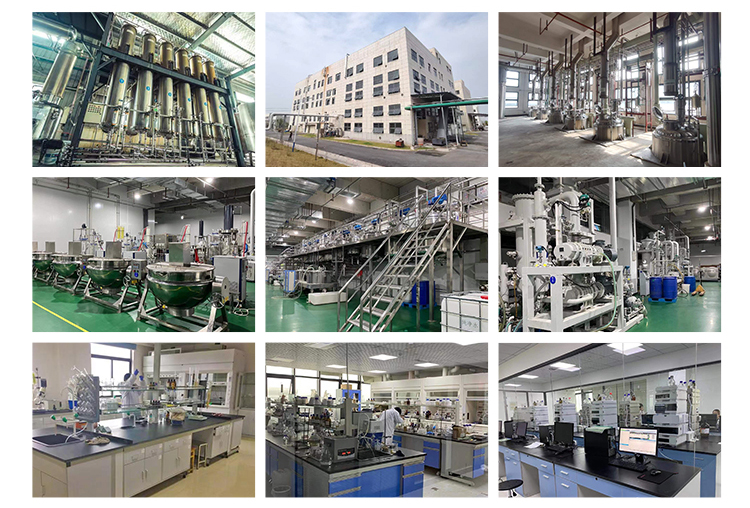 Laboratory and Testing