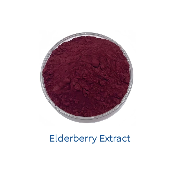 Natural Berry Taste Sambucus Nigra Elderberry Extract Powder 10:1 20:1 for Functional Beverages