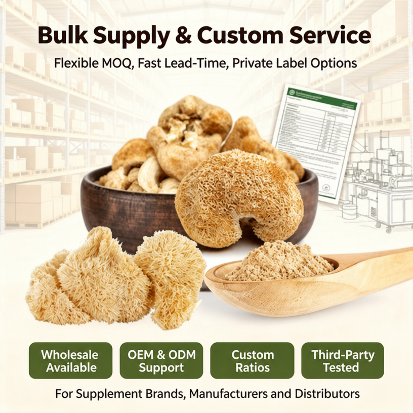 Wholesale Bulk Mushroom Blend Extract Powder Kosher Halal Certified Multi-Mushroom Complex For Natural Supplement Ingredients