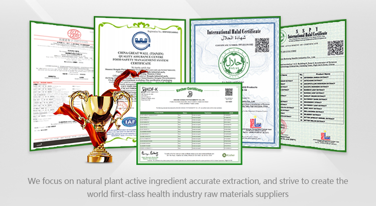 Natural Ginseng Extract Powder 5% 20% 80% Ginsenoside Panax Ginseng Stems Leaves Extract Powder