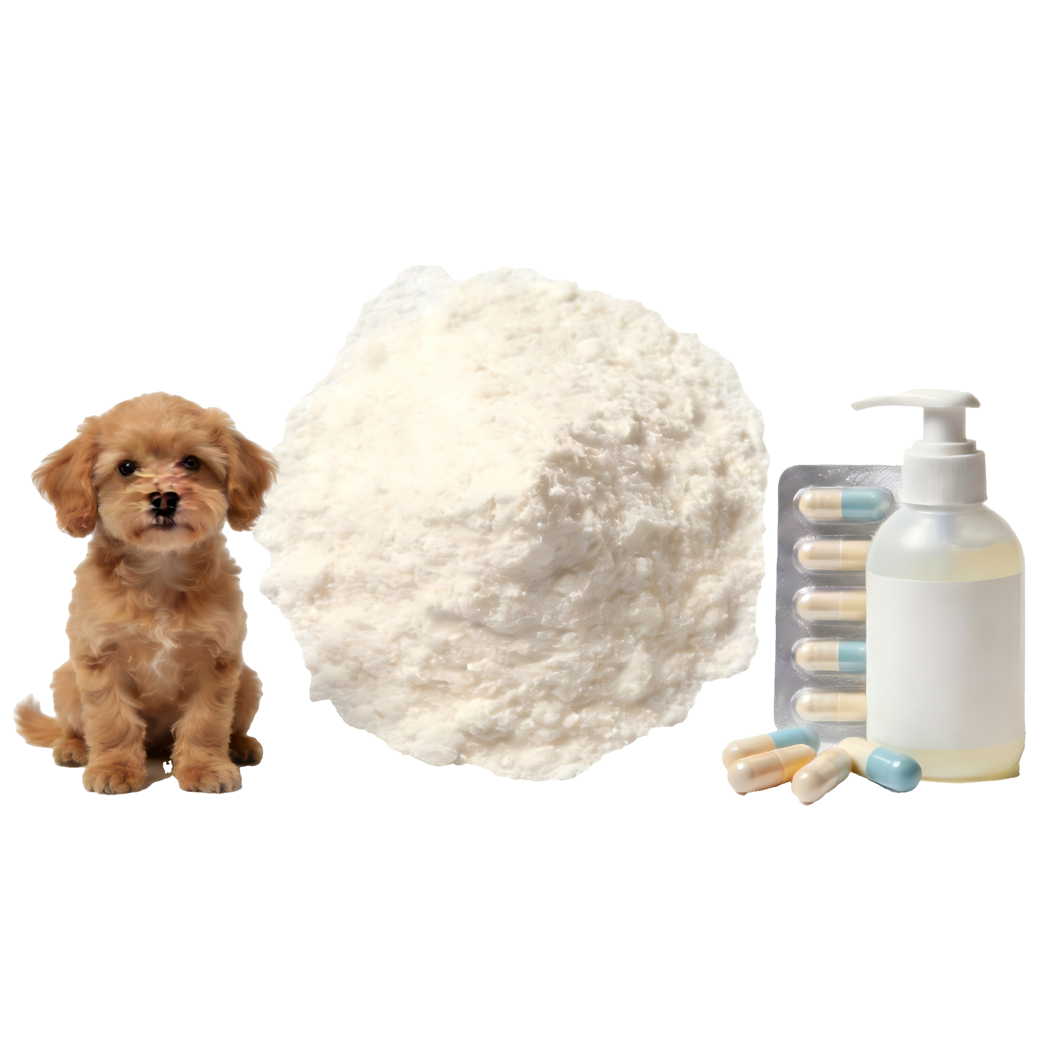 Pet Industry Application
