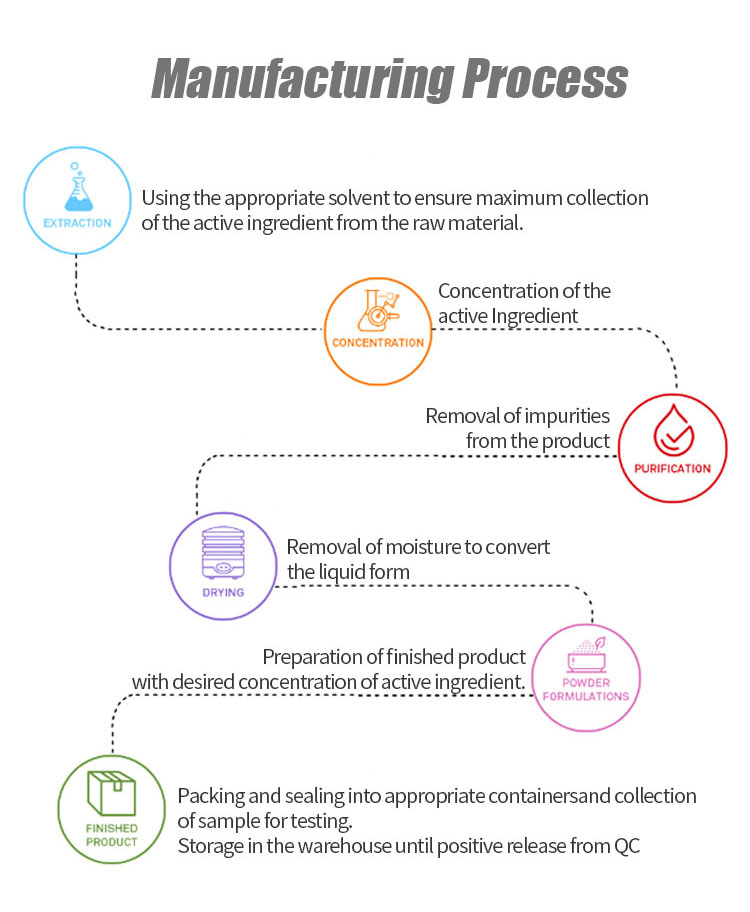 Production Process