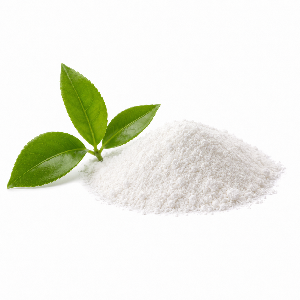 Natural L Theanine Powder 40 Percent Green Tea Extract OEM ODM Private Label Bulk Wholesale Manufacturer Supply
