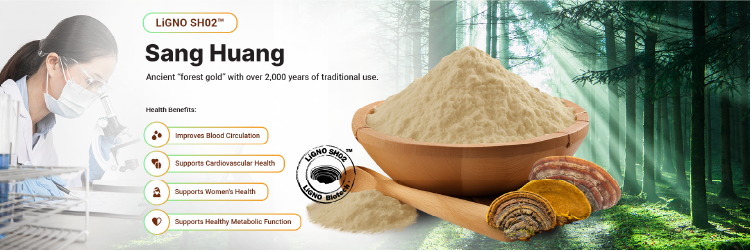 Sang Huang LiGNO SH02 Specification