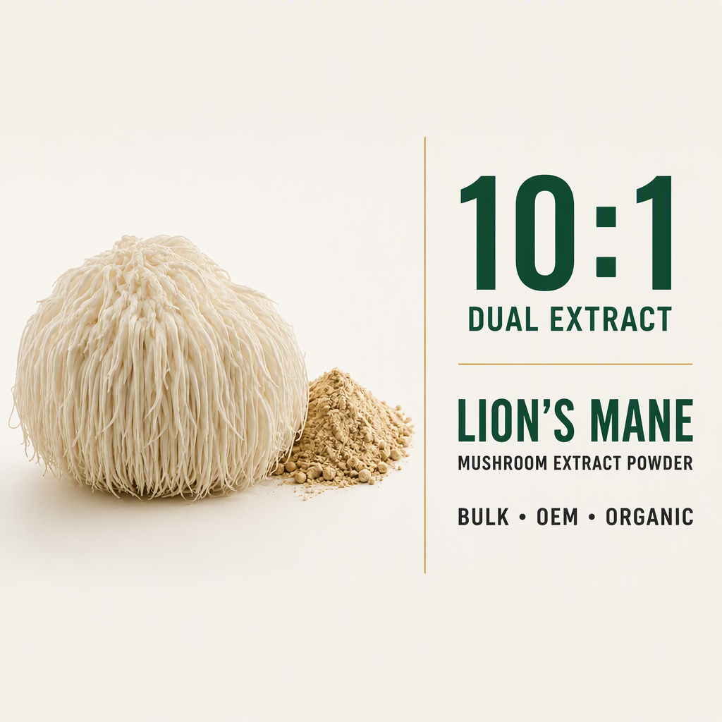 Qinshantang Lion's Mane Mushroom Extract Powder 10:1 Dual Extract Bulk Ingredient OEM Private Label