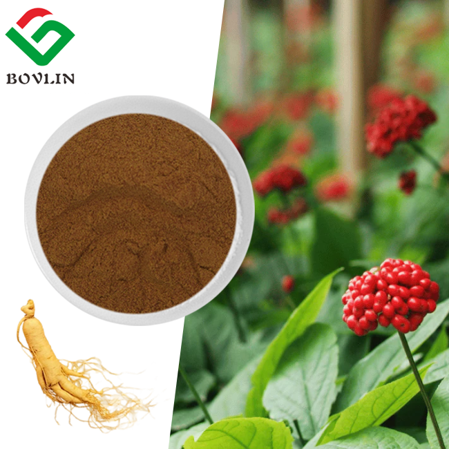 Natural Ginseng Extract Powder 5% 20% 80% Ginsenoside Panax Ginseng Stems Leaves Extract Powder