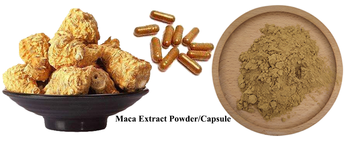 Maca Applications
