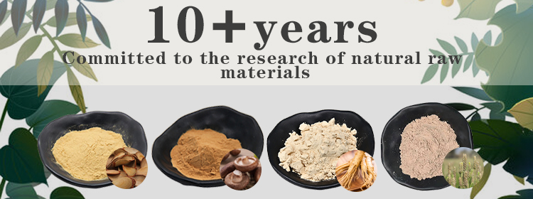 Curcumin Extract Overview