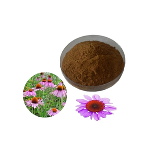Echinacea Purpurea Root Extract Powder Polyphenol