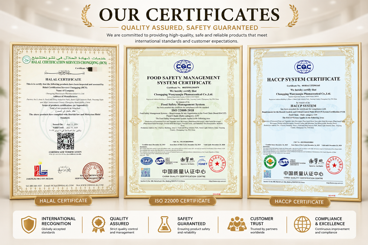 Bulk Wholesale Wild Food Grade Coptis Extract Powder 10:1 20:1 Natural Herbal Raw Material for Gut Health Supplement