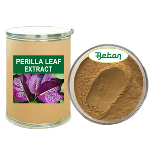 Perilla Frutescens Leaf Extract Powder 10% Sclareolide Bulk Water Soluble Purple Perilla Seed Extract