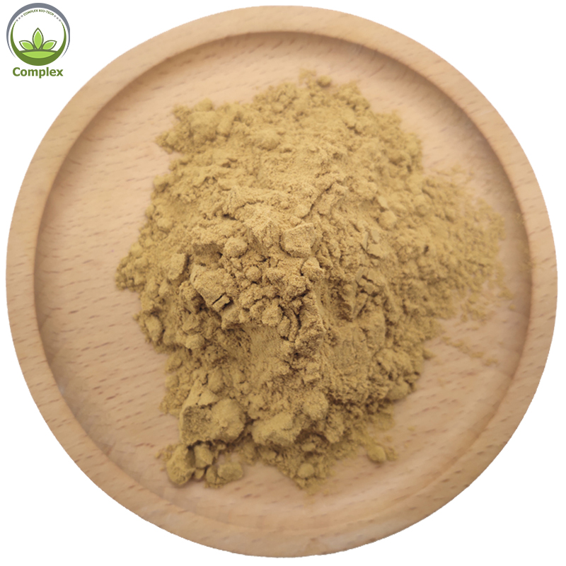 Factory Supply Pure Natural Plant Extract Maca Extract Powder