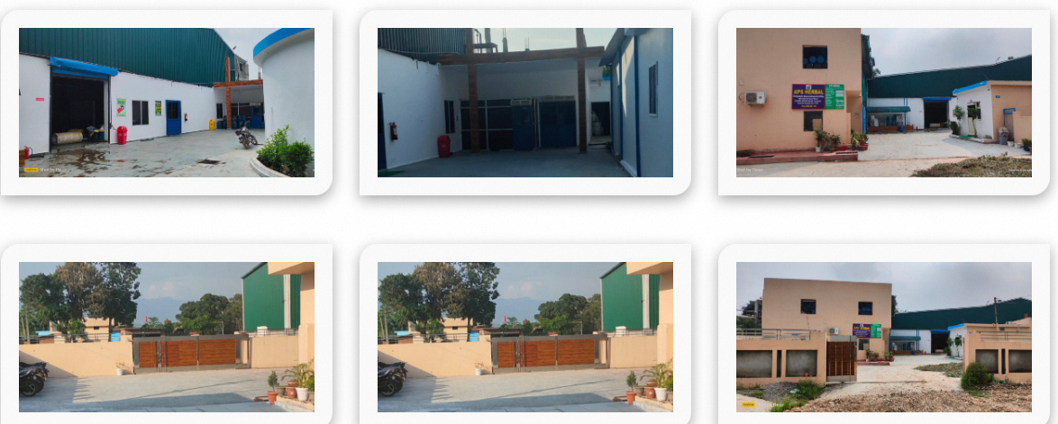 Company Profile