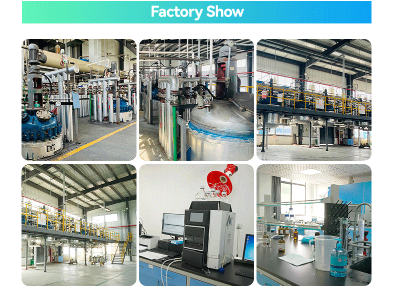 Factory Introduction