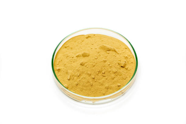 Natural Witch Hazel Leaf Powder Extract 10:1, Botanical Raw Material for Cosmetics