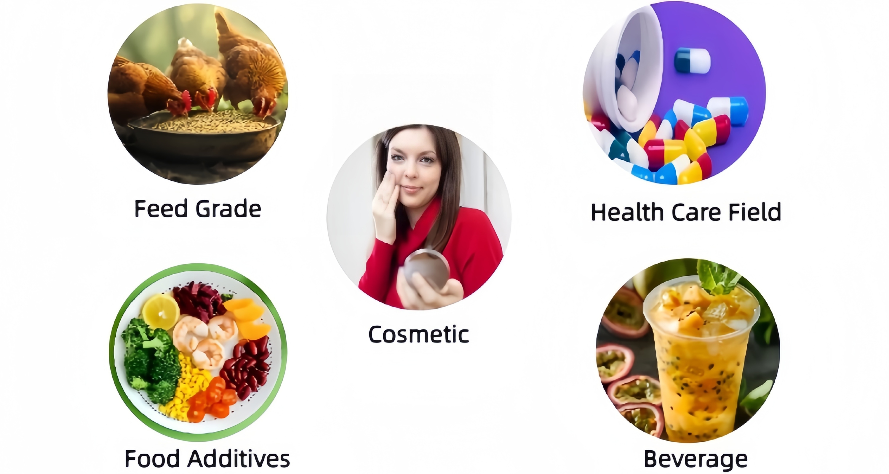 Product Application Display