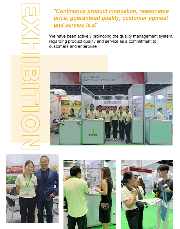 R&D Laboratory