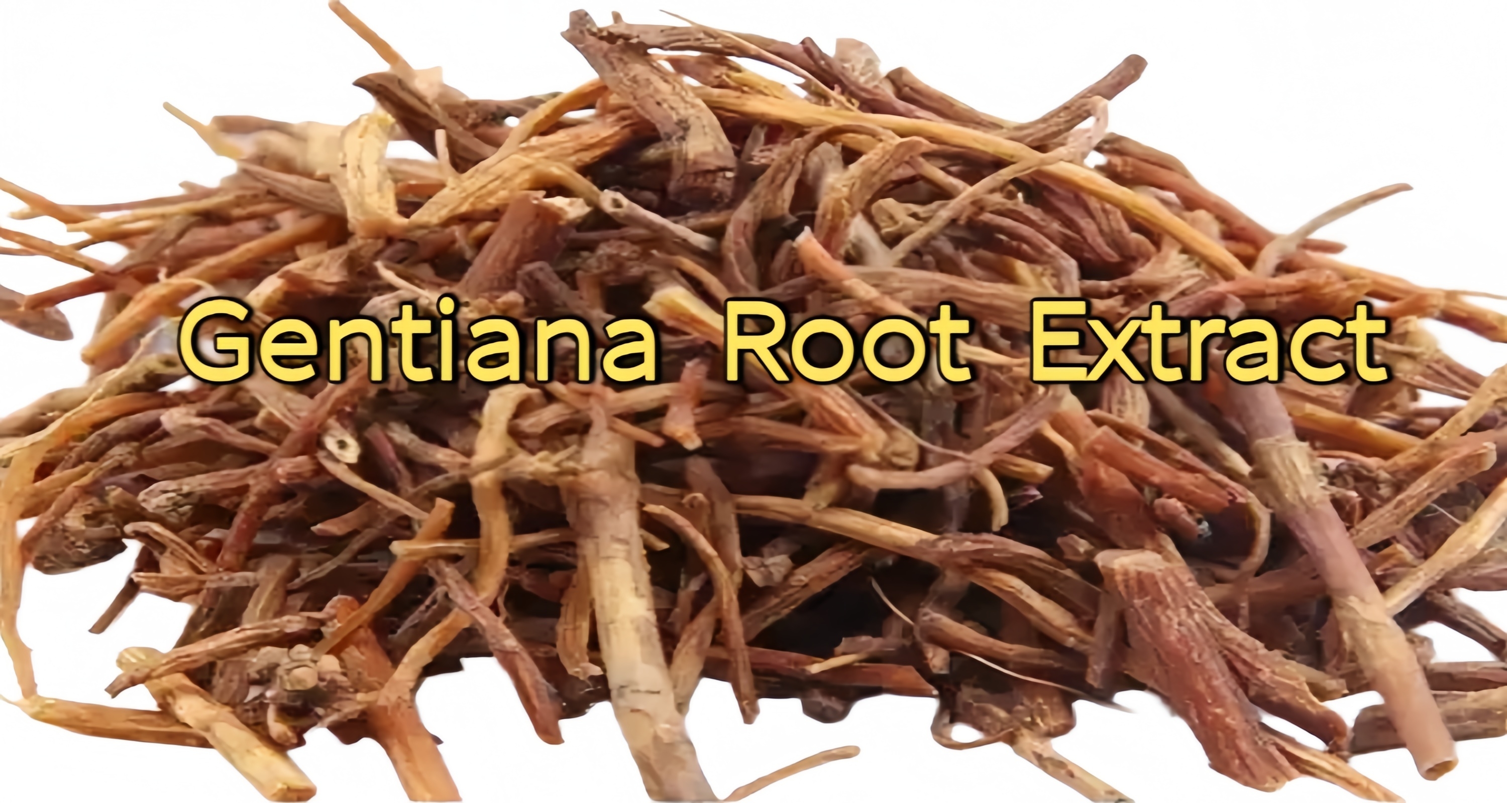 Chinese Gentiana Lutea Root Extract Banner