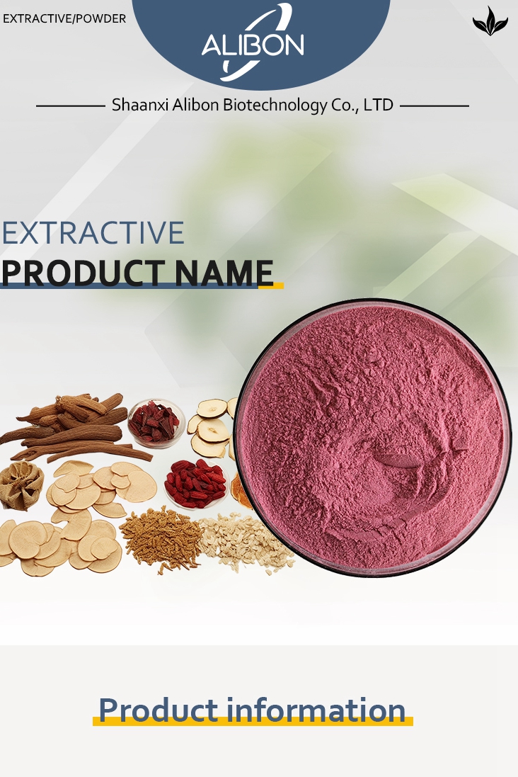 Hot Selling Bulk High Quality Dandelion Extract