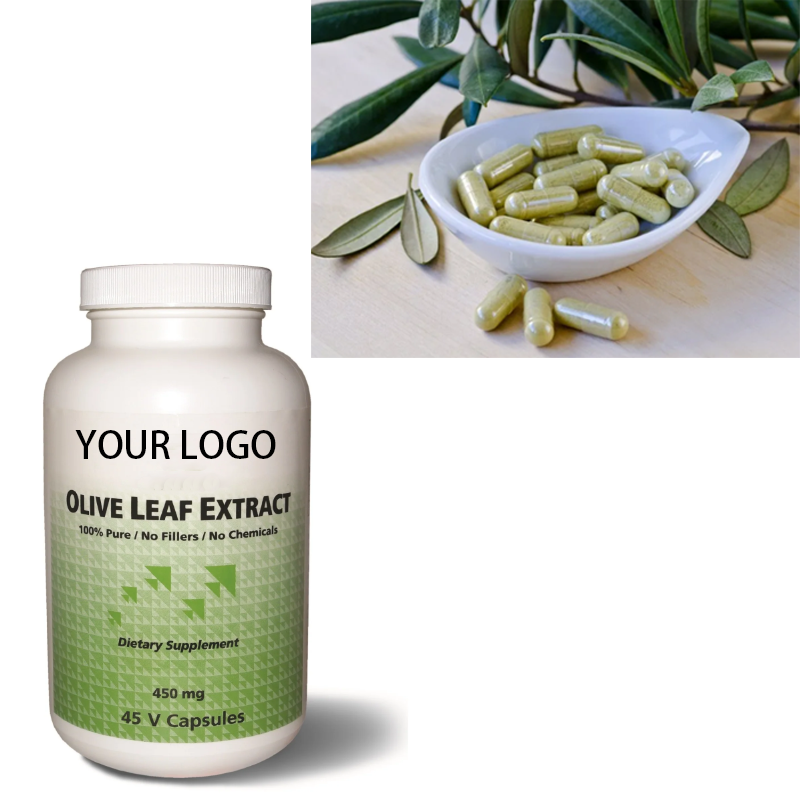 100% Natural Food Grade Olive Leaf Extract in Powder High Quality Herbal Extract Vacuum Packed in Drum