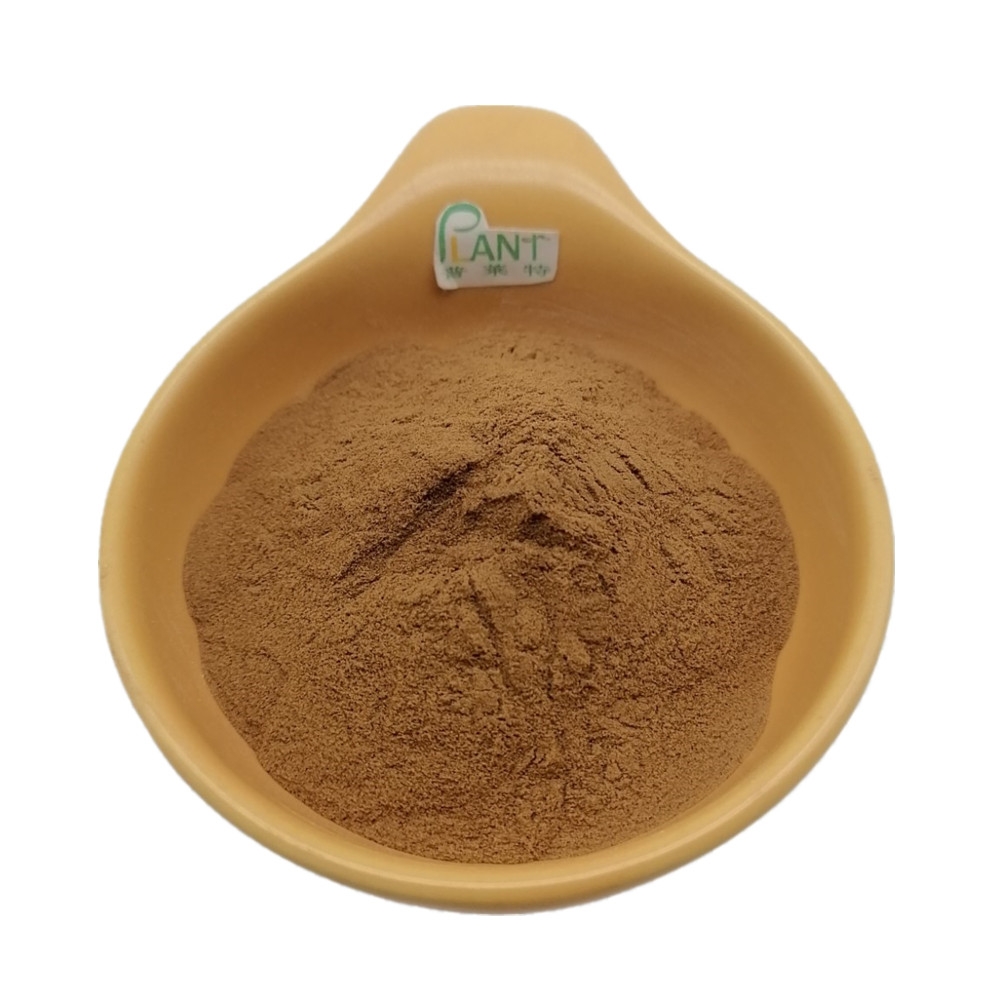 Herbal Supplement Supply Highest Quality Mullein Leaf Extract 10:1 Powder Ingredients Used for Lungs