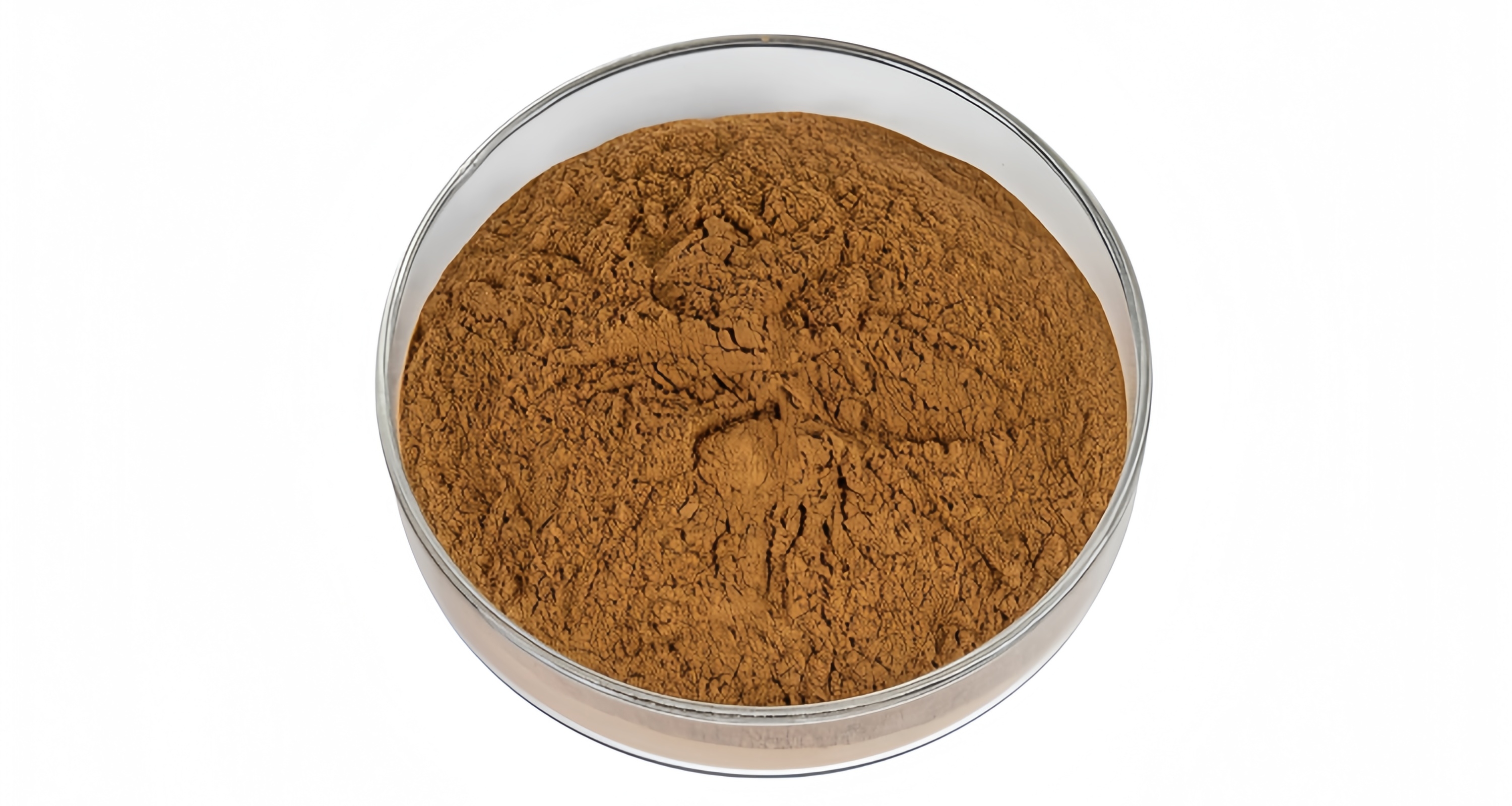 Gentiana Lutea Root Extract Display