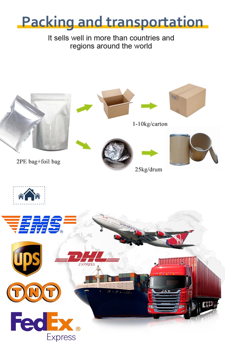 Hot Selling Bulk High Quality Dandelion Extract
