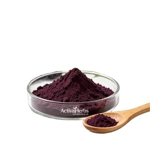 Elderberry Extract Powder 25% Anthocyanins Immune Support