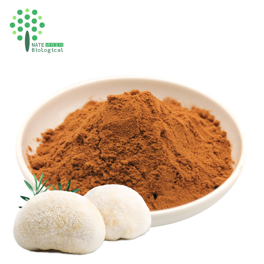Organic Lions Mane Mushroom Extract Powder Polysaccharide