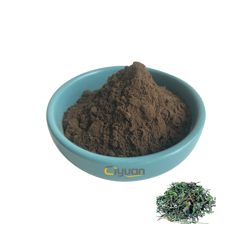 Dandelion Extract Details 1