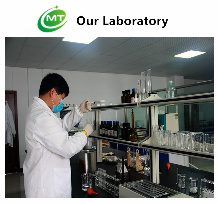 Laboratory Testing Equipments
