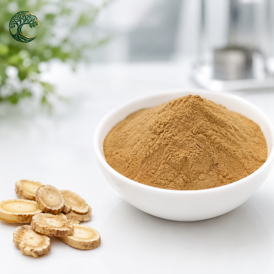 Hot Selling Astragalus Root Extract Powder Cycloastragenol 98% Bulk Herbal Raw Material for Supplement Ingredient