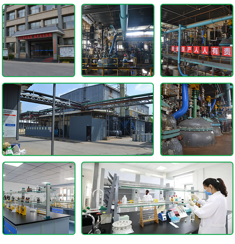 High Quality 100% Natural Plant Extract Pure Tea Saponins 70% 90% Tea Saponin Powder
