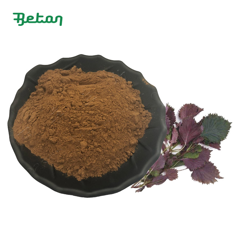 Food Grade Product Perilla Frutescens Leaf Extract Powder 10% Sclareolide Bulk Water Soluble Purple Perilla Seed Extract