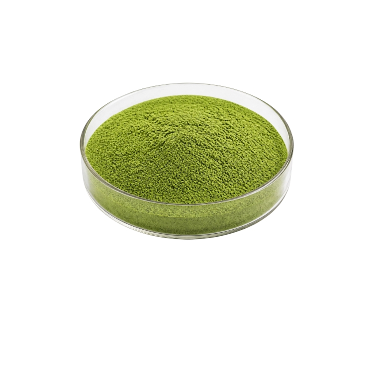 Matcha Powder OEM Packing Green Tea Matcha Powder