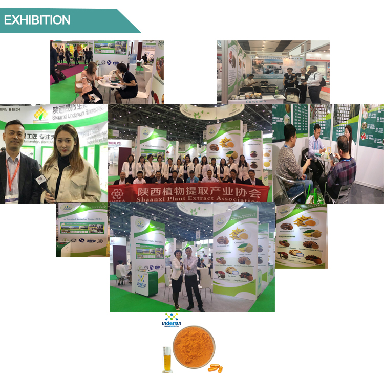 Food Grade Tongkat Ali Root Extract 100:1