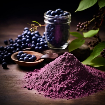 Elderberry Extract Powder