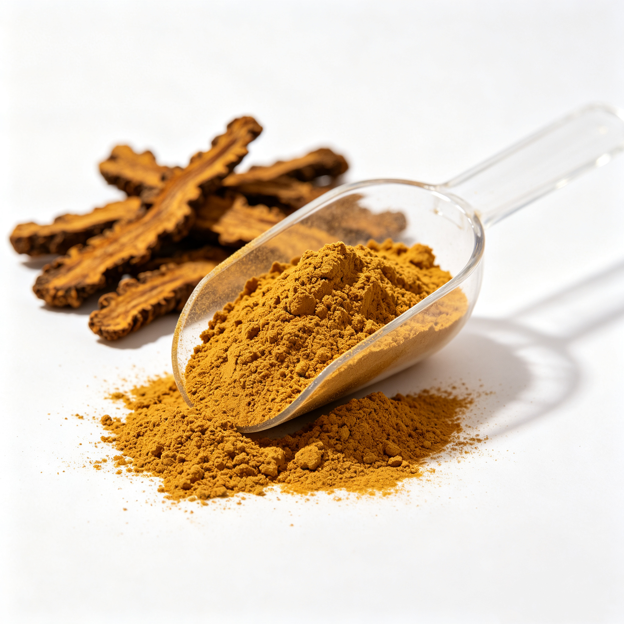 Bulk Wholesale Wild Food Grade Coptis Extract Powder 10:1 20:1 Natural Herbal Raw Material for Gut Health Supplement