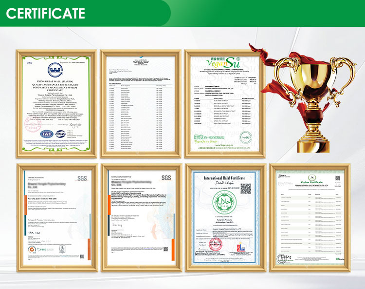 Wholesale Natural Green Tea Extract Powder Green Tea Extract 50% Polyphenol for Food Ingredient