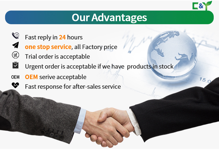 Our Core Advantages
