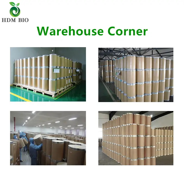 Water Soluble Tumeric Root Extract Powder 10% Curcumin Supplements