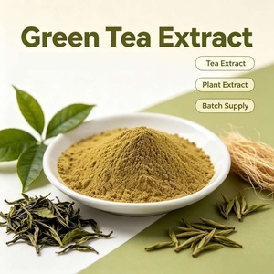 Green Tea Extract Polyphenols