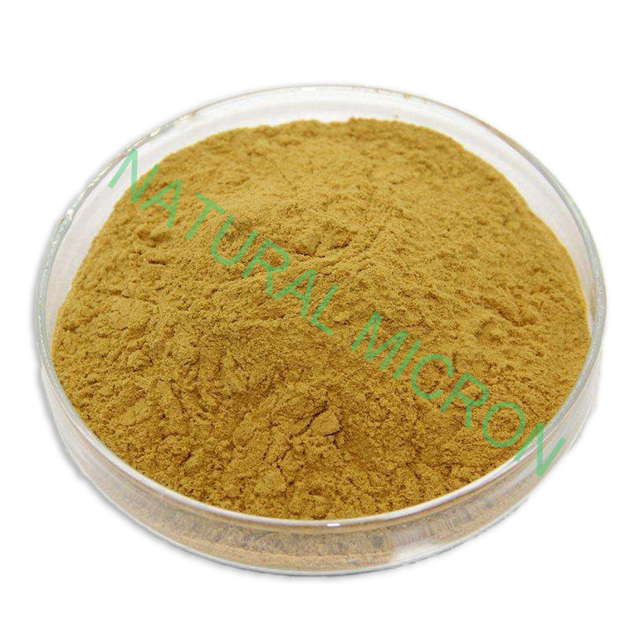 Food Grade Cosmetic Grade Anemarrhena Asphodeloides Root Extract